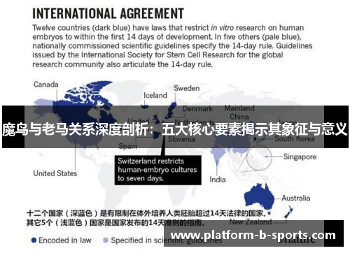魔鸟与老马关系深度剖析:五大核心要素揭示其象征与意义 魔鸟与老马关系深度剖析:五大核心要素揭示其象征与意义