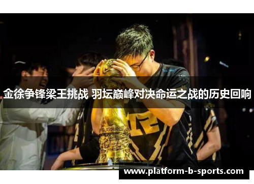 金徐争锋梁王挑战 羽坛巅峰对决命运之战的历史回响