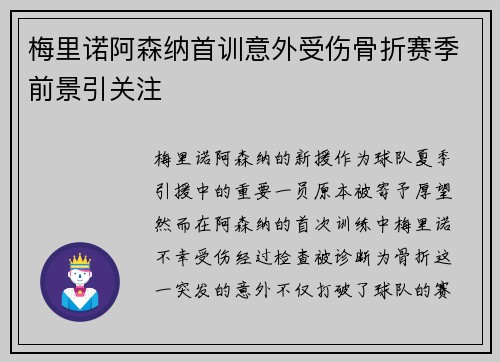 梅里诺阿森纳首训意外受伤骨折赛季前景引关注